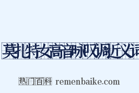 莫扎特女高音咏叹调近义词是什么意思的图片